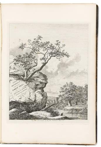 (TREES.) Jacob George Strutt. Sylva Britannica; or Portraits of Forest Trees. [bound with] Delicaiae Sylvarum;